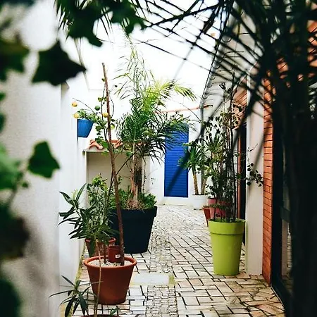 2 Bedrooms At 100 M Away From The Beach With Enclosed Garden And Wifi